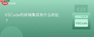 VSCode的终端集成有什么好处？