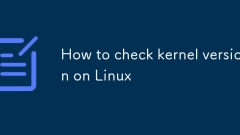 如何在 Linux 上检查内核版本