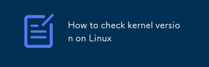 如何在 Linux 上檢查內核版本