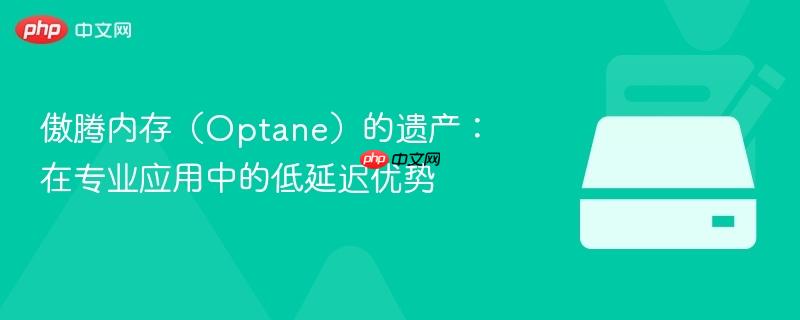 傲腾内存（optane）的遗产：在专业应用中的低延迟优势