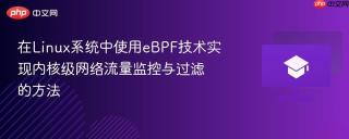 在Linux系统中使用eBPF技术实现内核级网络流量监控与过滤的方法