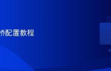 雷电网桥配置教程