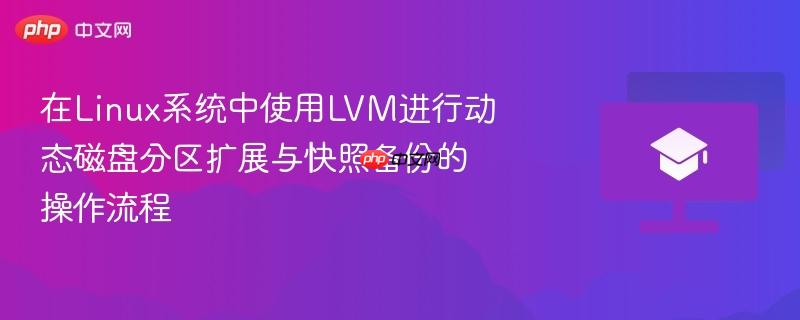 在Linux系统中使用LVM进行动态磁盘分区扩展与快照备份的操作流程