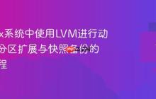 在Linux系统中使用LVM进行动态磁盘分区扩展与快照备份的操作流程