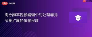 高分辨率视频编辑中对处理器指令集扩展的依赖程度
