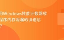 如何使用Windows性能计数器收集应用程序内存泄漏的详细诊断信息？
