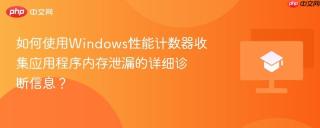 如何使用Windows性能计数器收集应用程序内存泄漏的详细诊断信息？