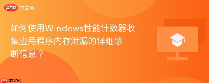 如何使用windows性能计数器收集应用程序内存泄漏的详细诊断信息?