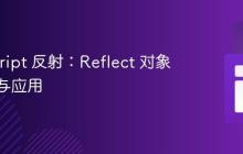 JavaScript 反射：Reflect 对象的方法与应用