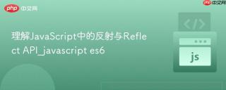 理解JavaScript中的反射与Reflect API_javascript es6