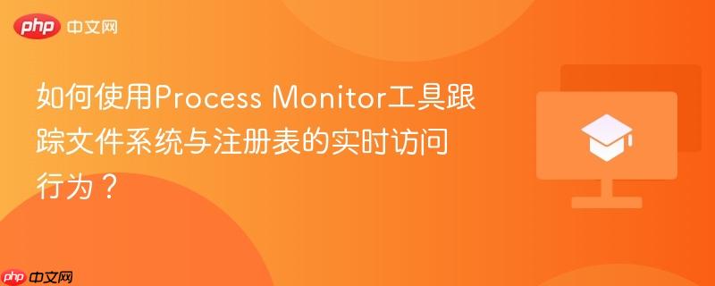 如何使用Process Monitor工具跟踪文件系统与注册表的实时访问行为？