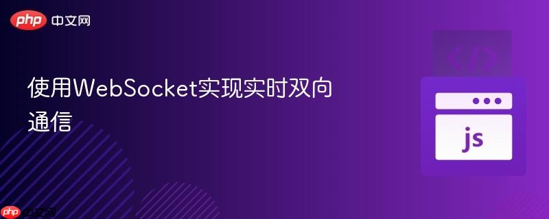 使用WebSocket实现实时双向通信