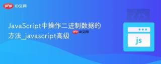 JavaScript中操作二进制数据的方法_javascript高级