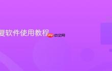 数据恢复软件使用教程