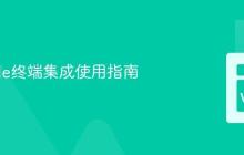 VSCode终端集成使用指南