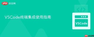 VSCode终端集成使用指南