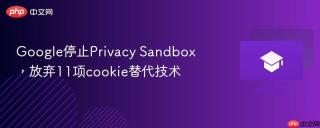 Google停止Privacy Sandbox，放弃11项cookie替代技术