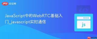JavaScript中的WebRTC基础入门_javascript实时通信
