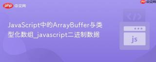 JavaScript中的ArrayBuffer与类型化数组_javascript二进制数据