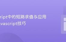 JavaScript中的短路求值与应用技巧_javascript技巧