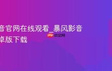 暴风影音官网在线观看_暴风影音官网安卓版下载