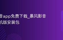 暴风影音app免费下载_暴风影音安卓手机版安装包