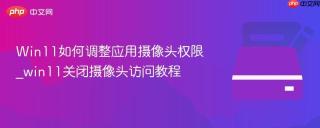 Win11如何调整应用摄像头权限_win11关闭摄像头访问教程
