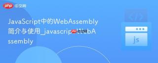 JavaScript中的WebAssembly简介与使用_javascript WebAssembly