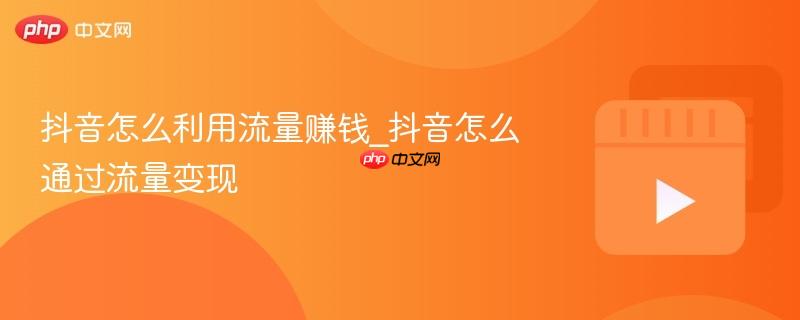 抖音怎么利用流量赚钱_抖音怎么通过流量变现