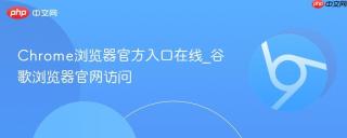 Chrome浏览器官方入口在线_谷歌浏览器官网访问