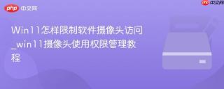 Win11怎样限制软件摄像头访问_win11摄像头使用权限管理教程