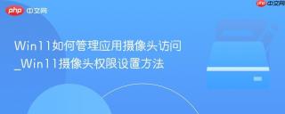 Win11如何管理应用摄像头访问_Win11摄像头权限设置方法