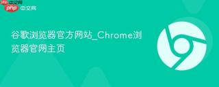谷歌浏览器官方网站_Chrome浏览器官网主页
