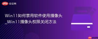 Win11如何禁用软件使用摄像头_Win11摄像头权限关闭方法