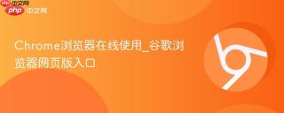 Chrome浏览器在线使用_谷歌浏览器网页版入口