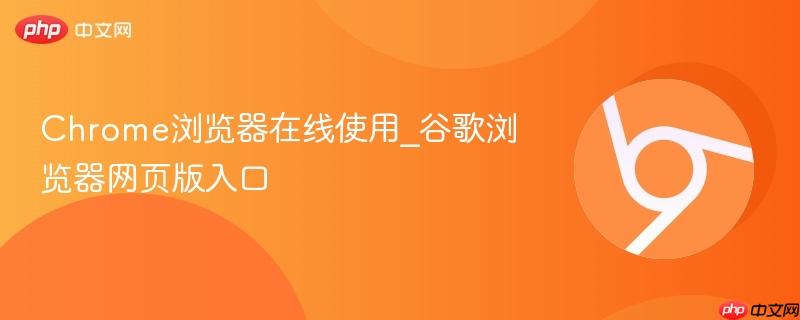 chrome浏览器在线使用_谷歌浏览器网页版入口
