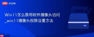 Win11怎么禁用软件摄像头访问_win11摄像头权限设置方法
