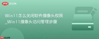 Win11怎么关闭软件摄像头权限_Win11摄像头访问管理步骤