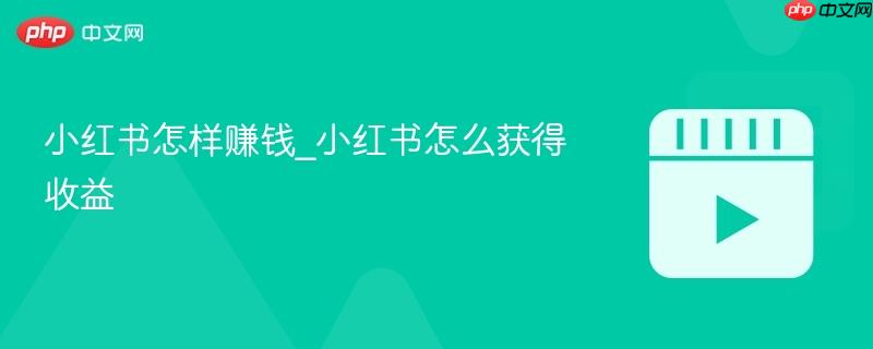 小红书怎样赚钱_小红书怎么获得收益
