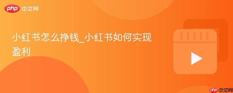 小红书怎么挣钱_小红书如何实现盈利