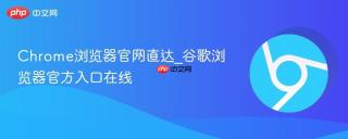 Chrome浏览器官网直达_谷歌浏览器官方入口在线