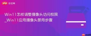 Win11怎样调整摄像头访问权限_Win11应用摄像头禁用步骤