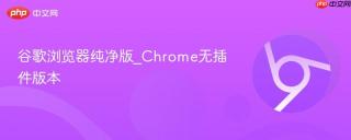 谷歌浏览器纯净版_Chrome无插件版本