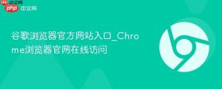 谷歌浏览器官方网站入口_Chrome浏览器官网在线访问