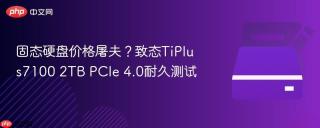 固态硬盘价格屠夫？致态TiPlus7100 2TB PCIe 4.0耐久测试