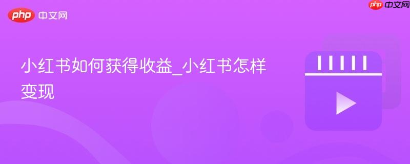 小红书如何获得收益_小红书怎样变现