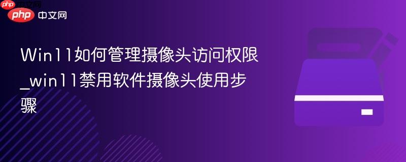 win11如何管理摄像头访问权限_win11禁用软件摄像头使用步骤