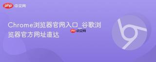 Chrome浏览器官网入口_谷歌浏览器官方网址直达