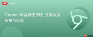 Chrome浏览器便携版_谷歌浏览器绿色版本
