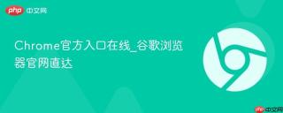 Chrome官方入口在线_谷歌浏览器官网直达